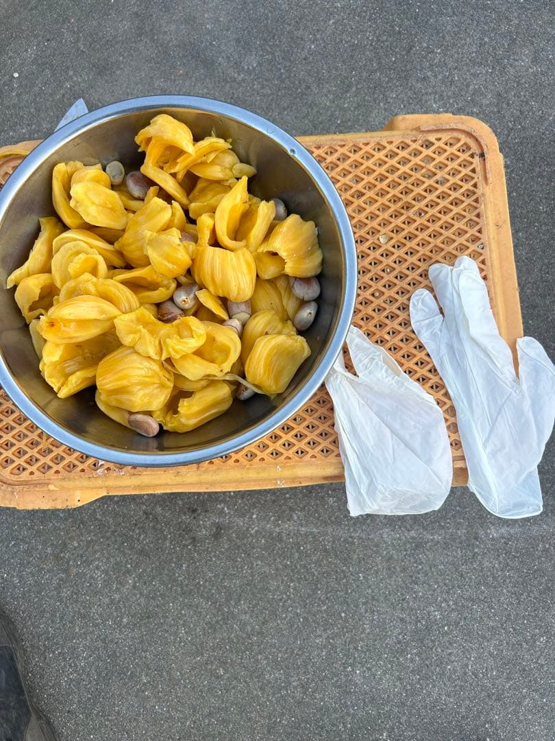 沖縄県産ジャックフルーツ(パラミツ)10kg以上