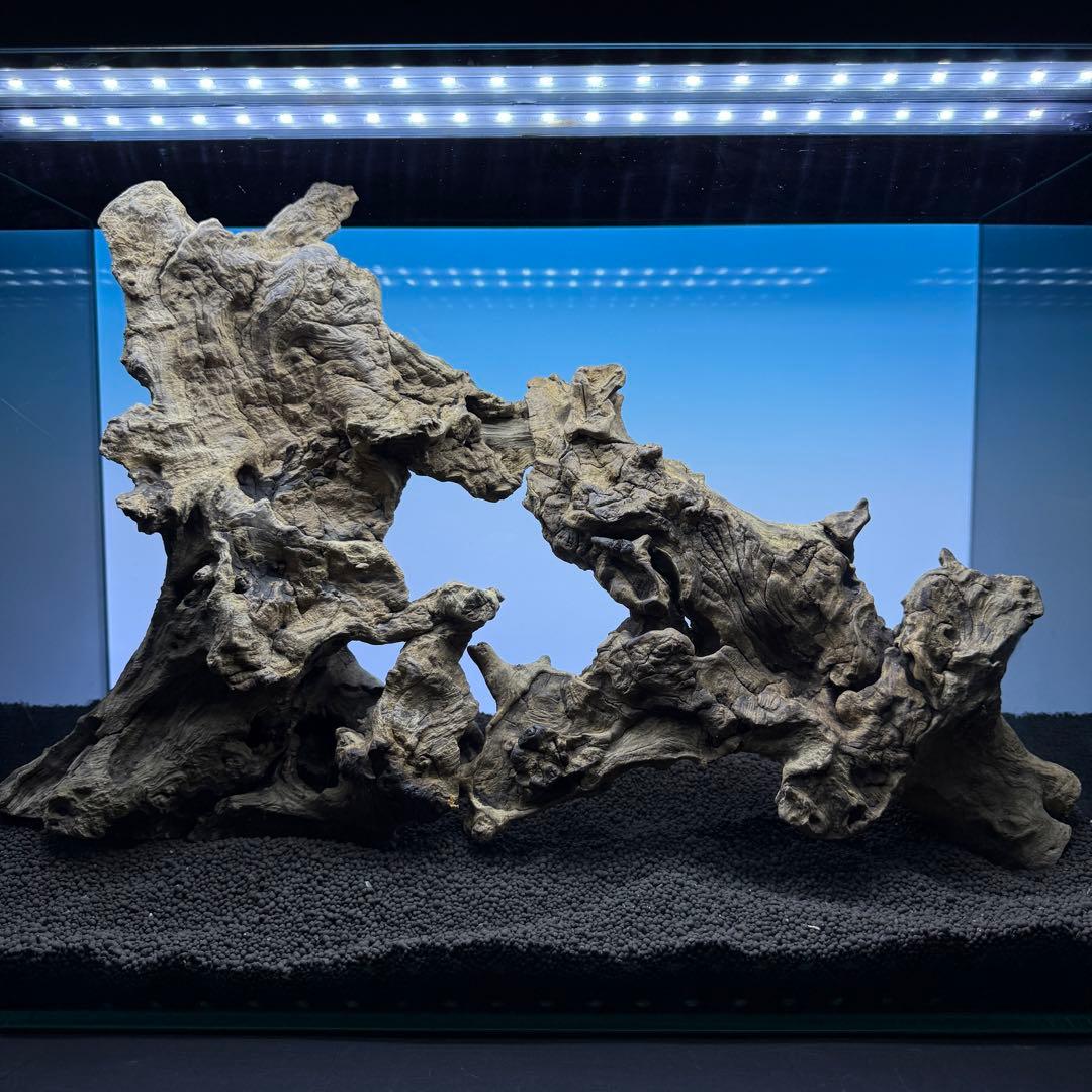 MJW-6882 ジンジャーウッド　レイアウトセット　天然流木　アクアリウム