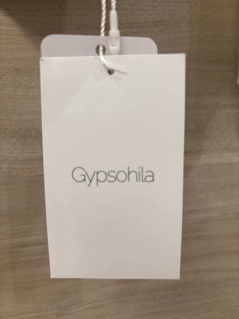 ジプソフィア gypsohilaチュールティシャツ