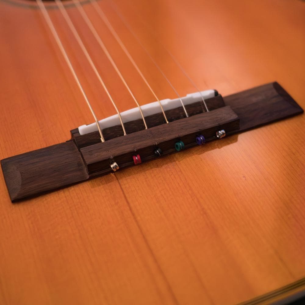 Stars & Strings SS－C10 OR フジゲン製エレアコ