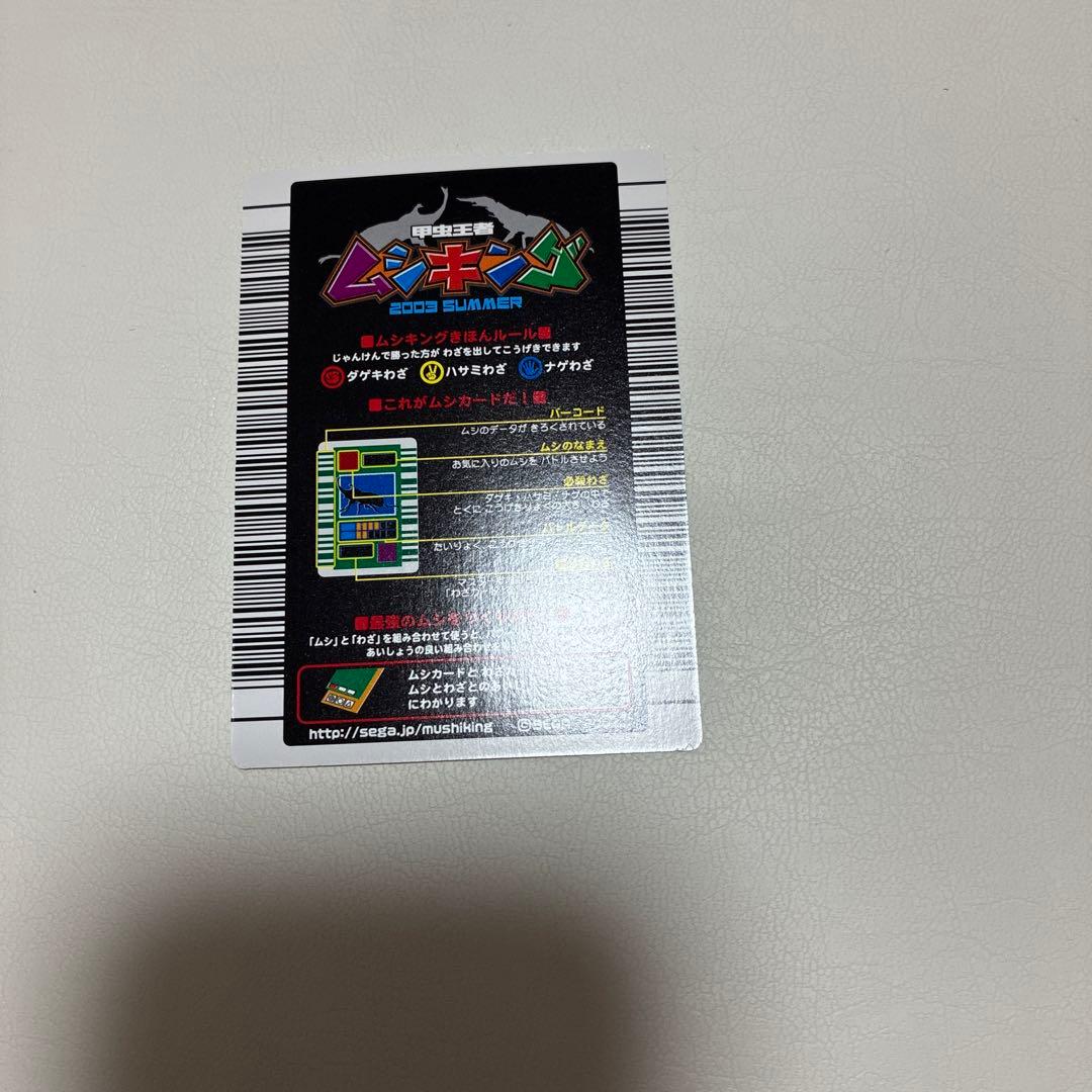 パラワンオオヒラタクワガタ