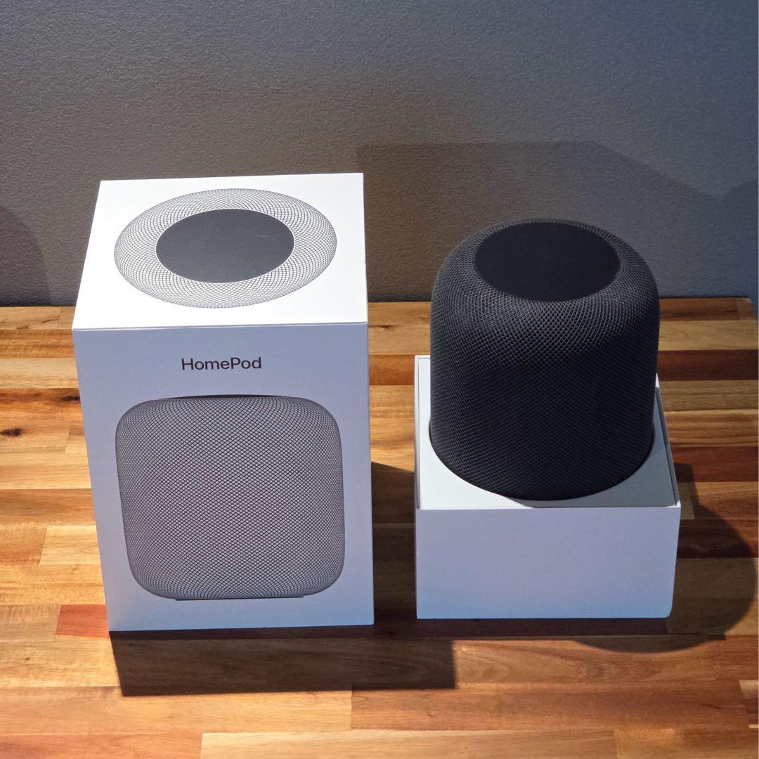 Apple Pod 第一世代 スペースグレー 2個セット