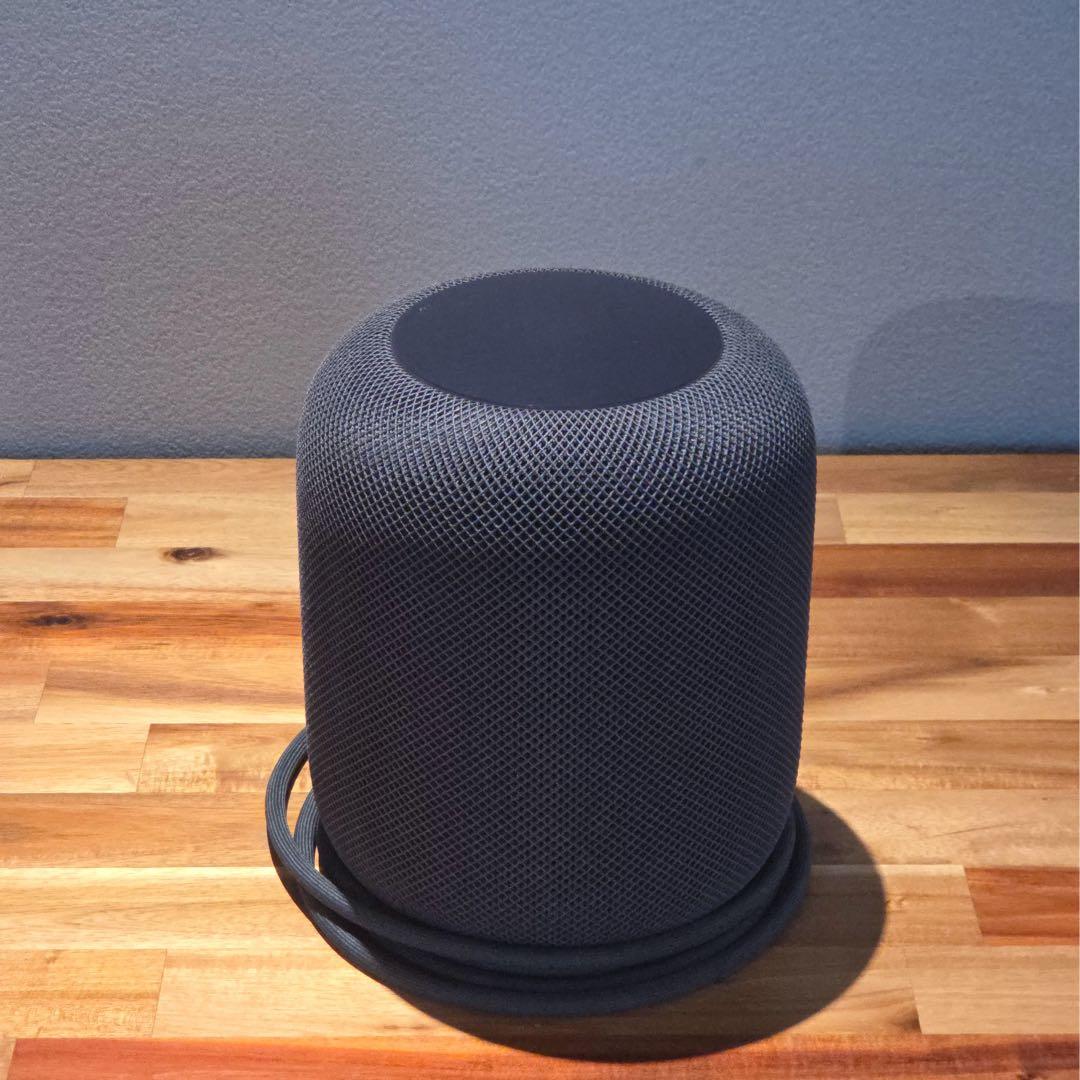 Apple Pod 第一世代 スペースグレー 2個セット