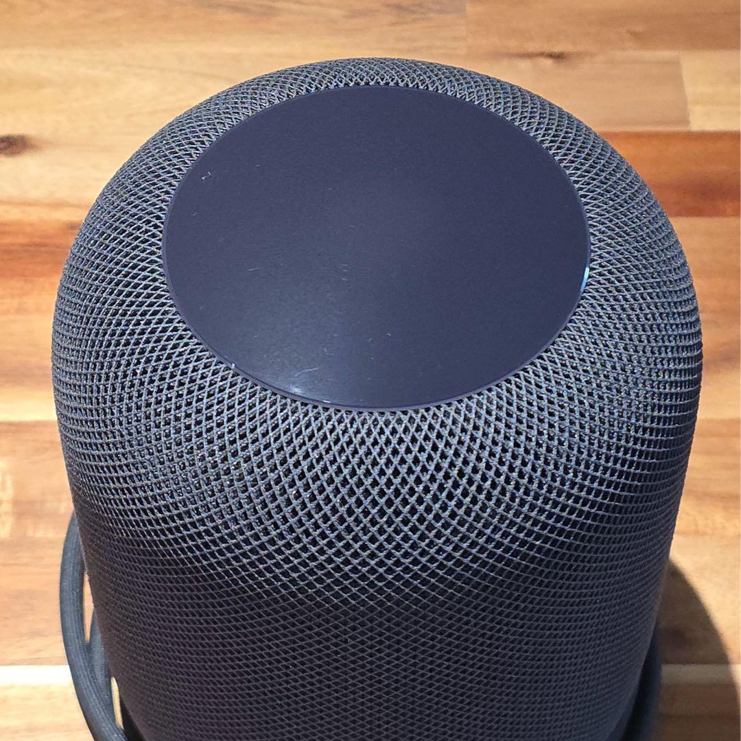 Apple Pod 第一世代 スペースグレー 2個セット