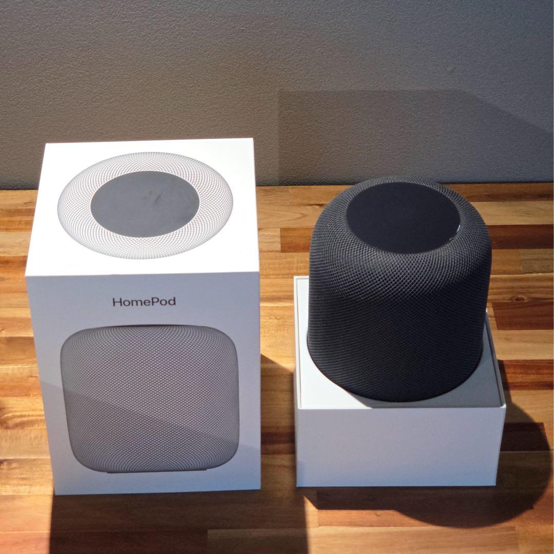 Apple Pod 第一世代 スペースグレー 2個セット