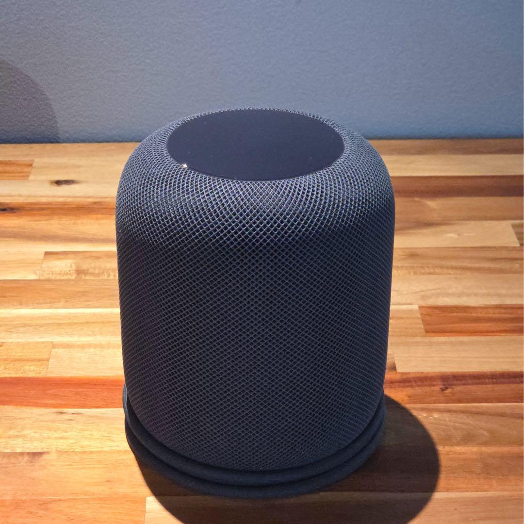 Apple Pod 第一世代 スペースグレー 2個セット