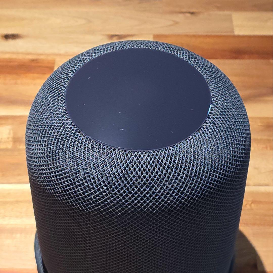 Apple Pod 第一世代 スペースグレー 2個セット