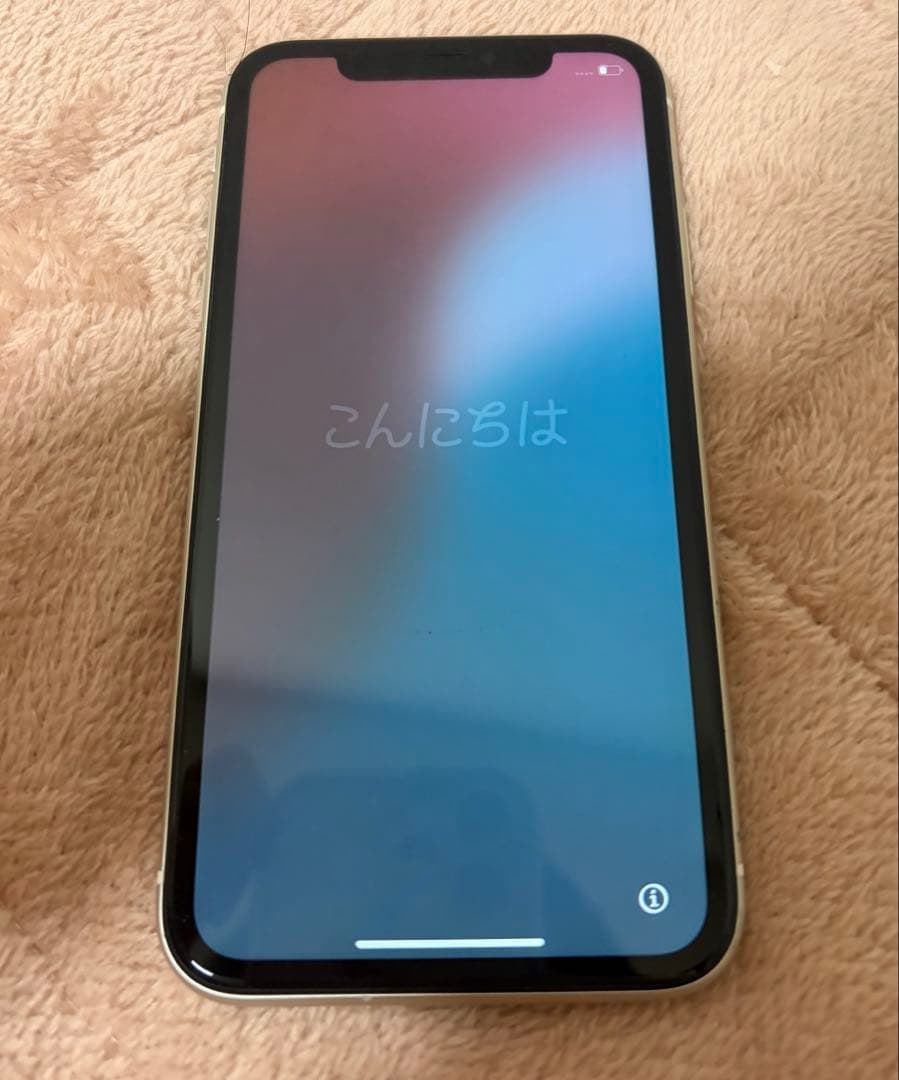 iPhone 11 本体