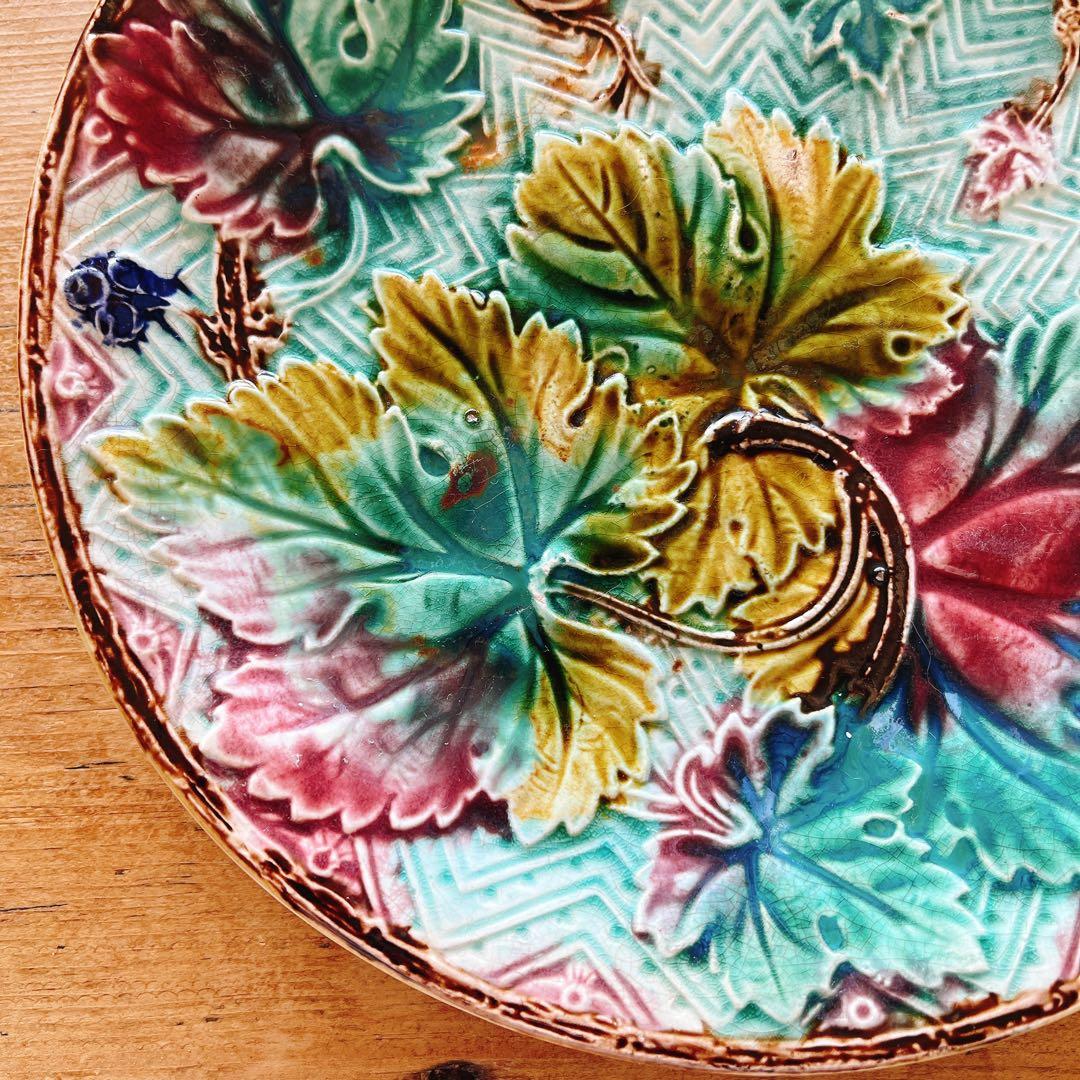 美しい葡萄の蔓のバルボティーヌ