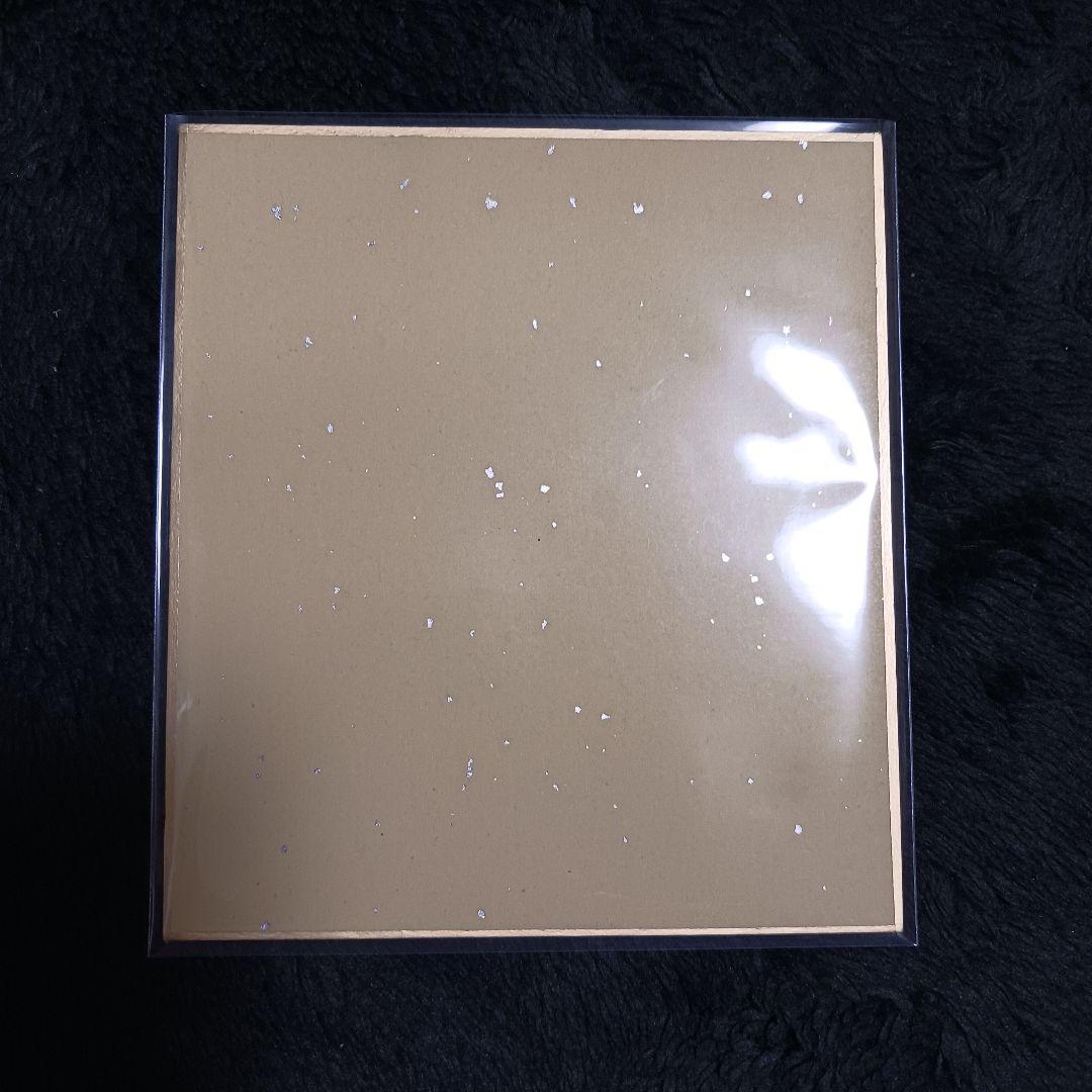 MY151 ブイズ 色紙 イーブイキャンペーン ブラッキー ポケモン 色紙