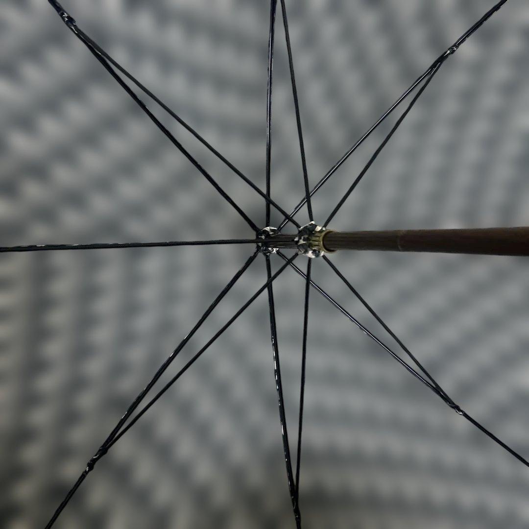 【極美品】クリスチャンディオール　長傘　トロッター　ブラック