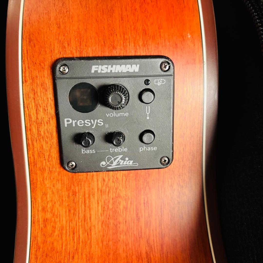 【極美品】Aria 101CE MTCS エレアコ