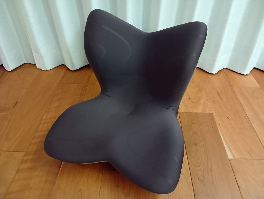 Style PREMIUM MTG 骨盤サポートチェア 座椅子