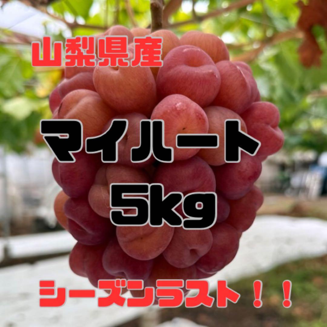 値下げ！本日発送！最終売り切り！ラスト1箱のみ【山梨県産】マイハート5kg