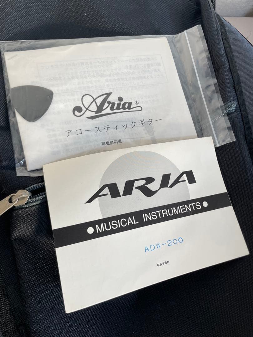 ARIA アコースティックギター ADW-200BS RITTER ソフトケース