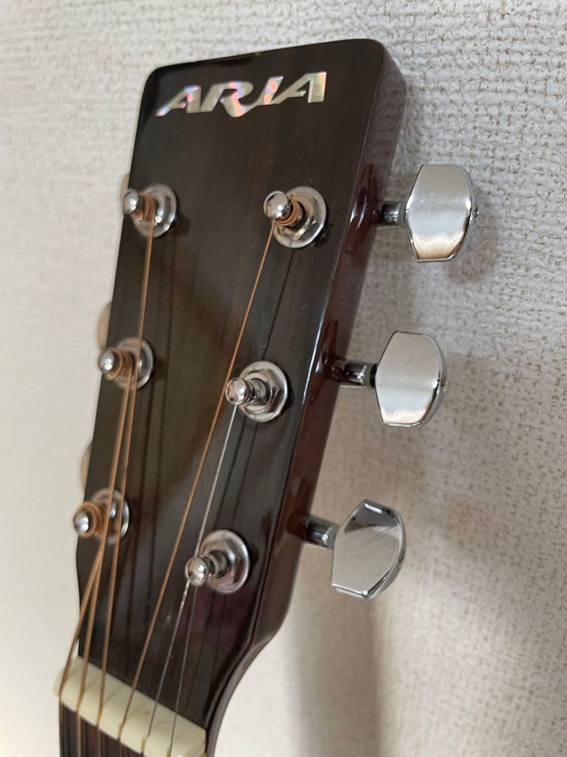 ARIA アコースティックギター ADW-200BS RITTER ソフトケース