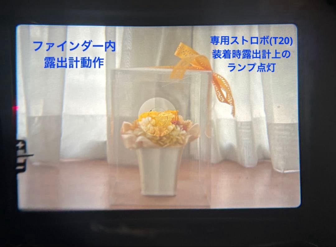 ★ OLYMPUS OM-1N + ★ 標準レンズ50mm