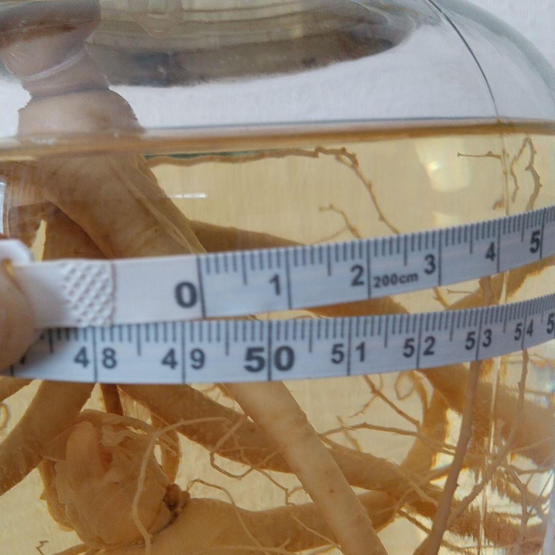 高麗人参酒 古酒