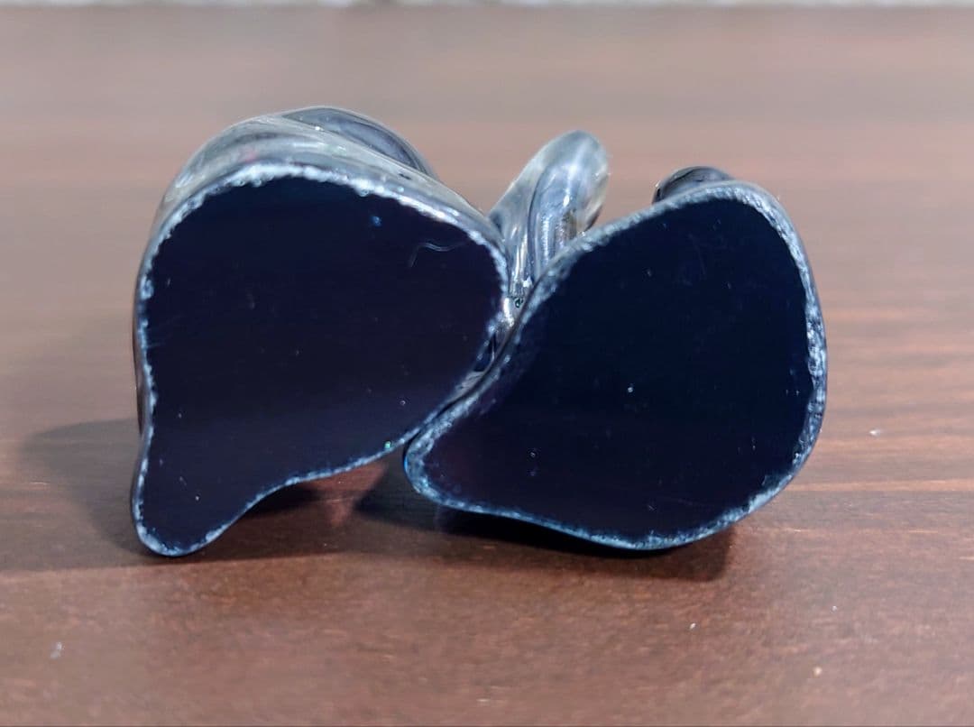 Advanced AcousticWerkes W500 カスタムIEM