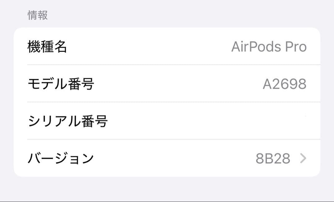 ピ*α様 Apple AirPods Pro 第二世代 Lightning