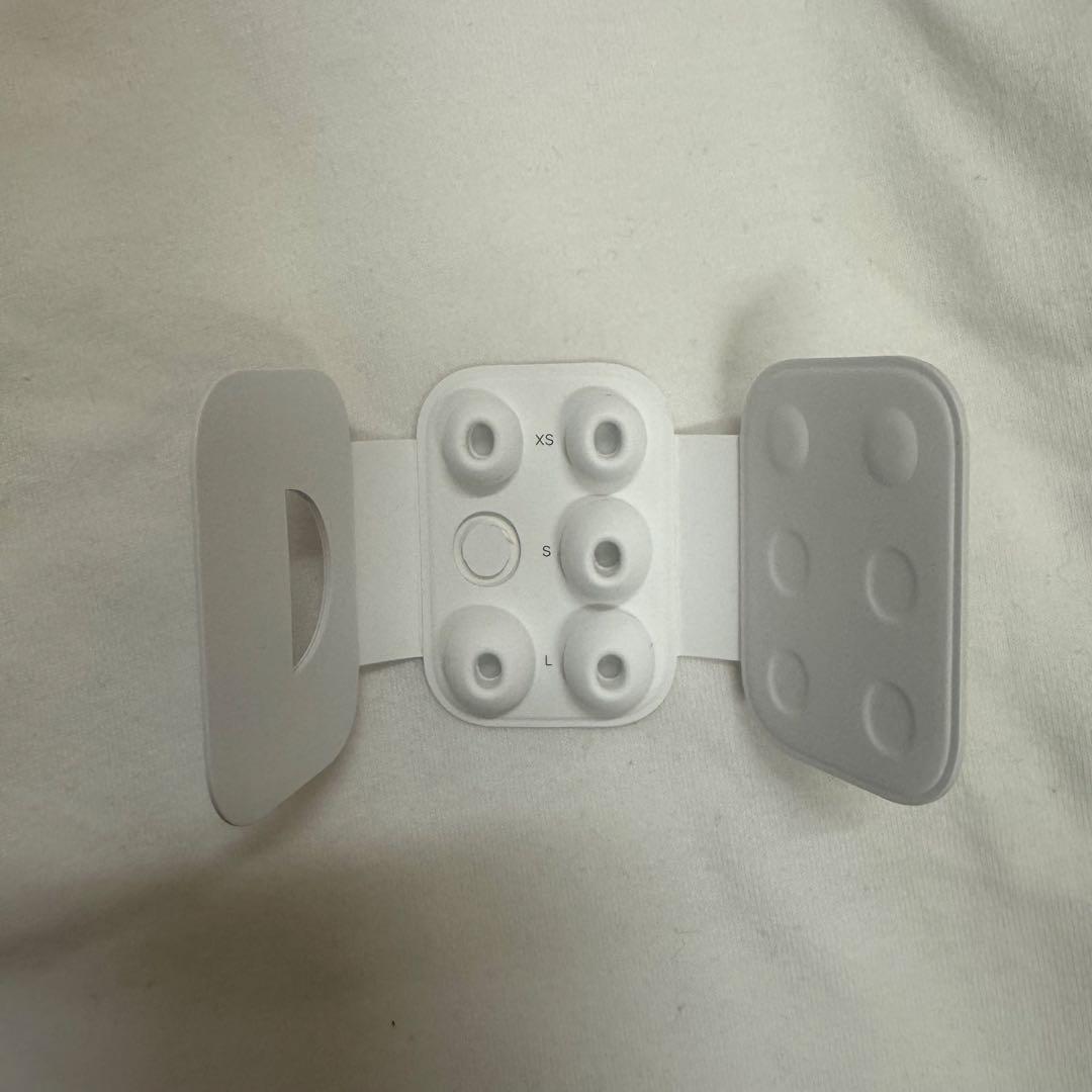 ピ*α様 Apple AirPods Pro 第二世代 Lightning