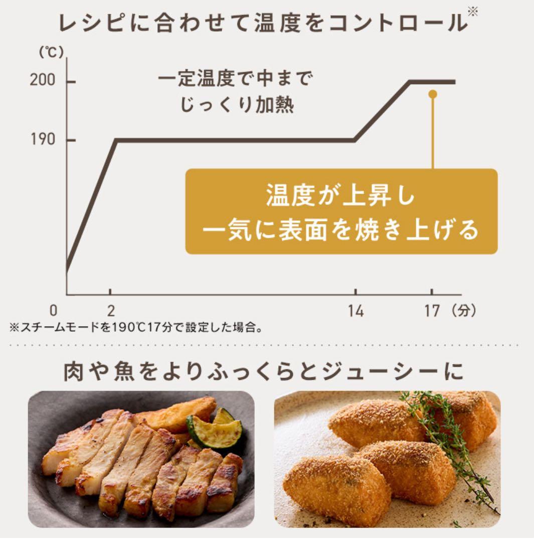 【最新モデル新品】アイリスオーヤマ 過熱水蒸気エアフライヤー FV-M30A-C