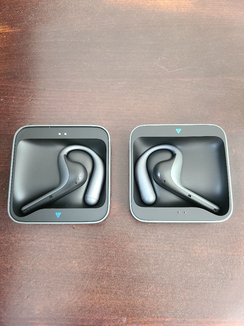 Timekettle W4 Pro AI通訳イヤフォン