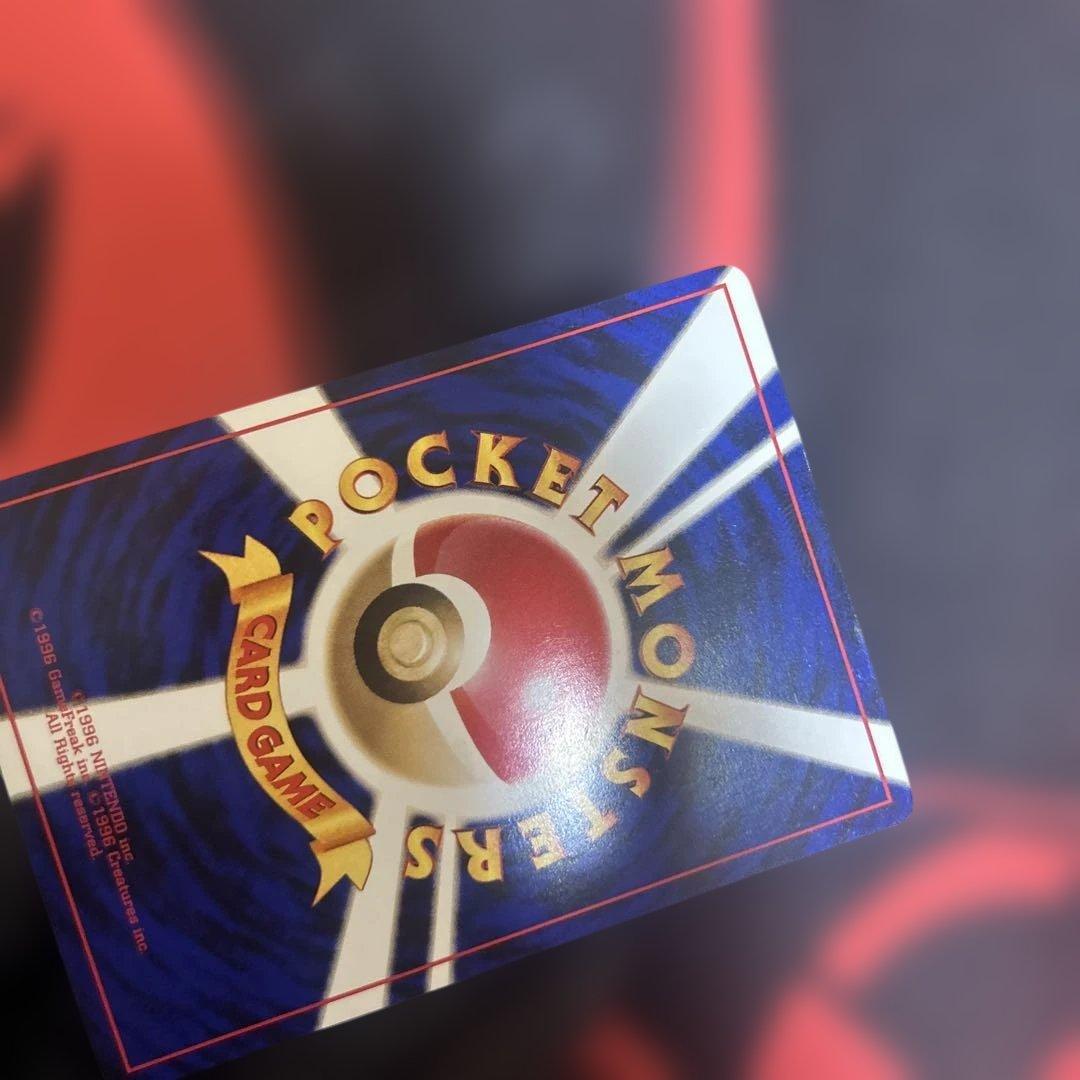 ライチュウ イントロパック