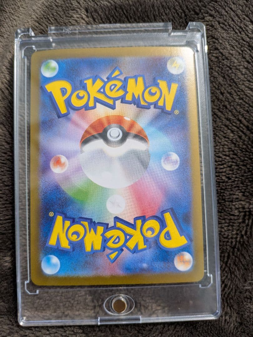 ゼクロム ex SAR 新品