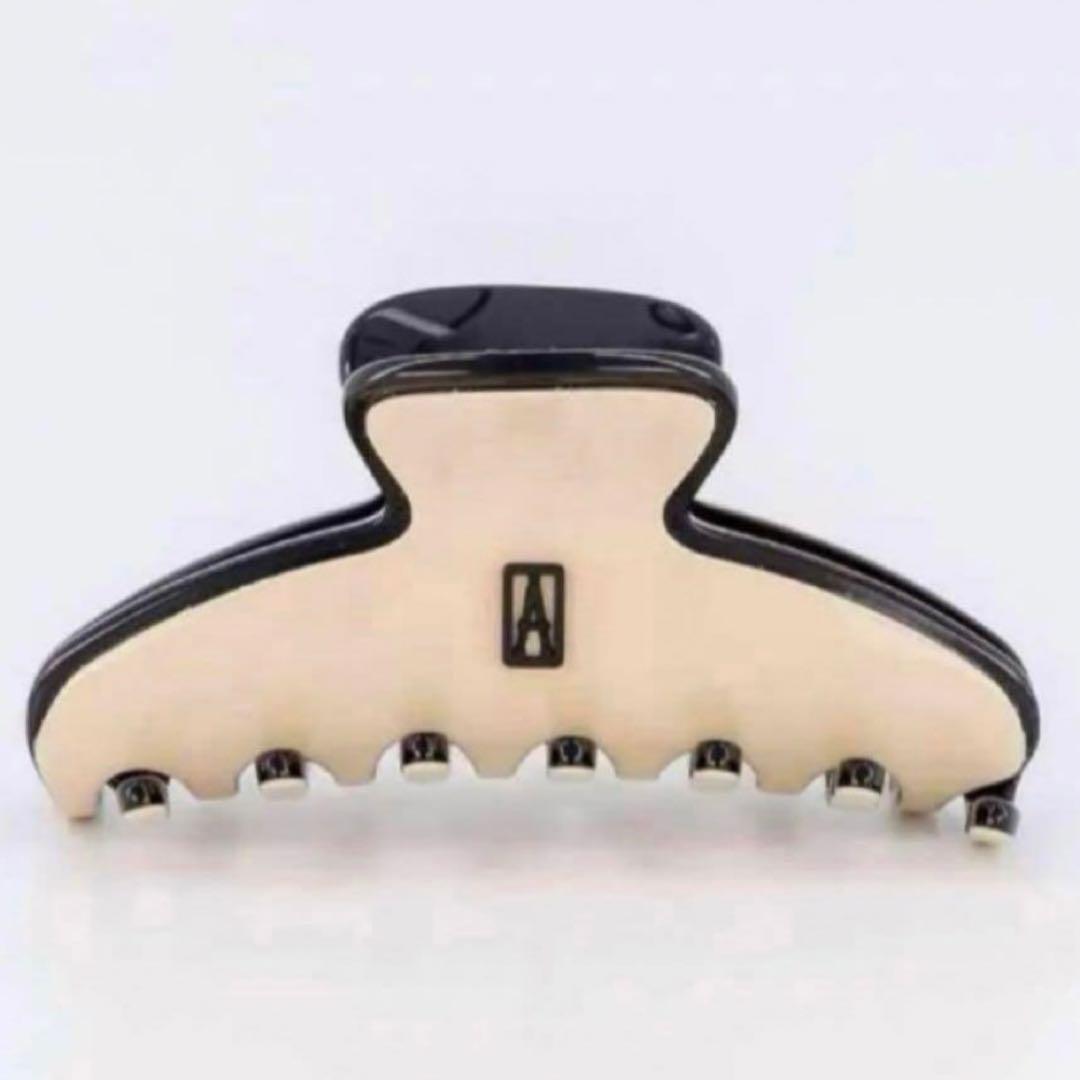 【新品未使用】50周年アレクサンドル ドゥ パリ クリップMサイズ