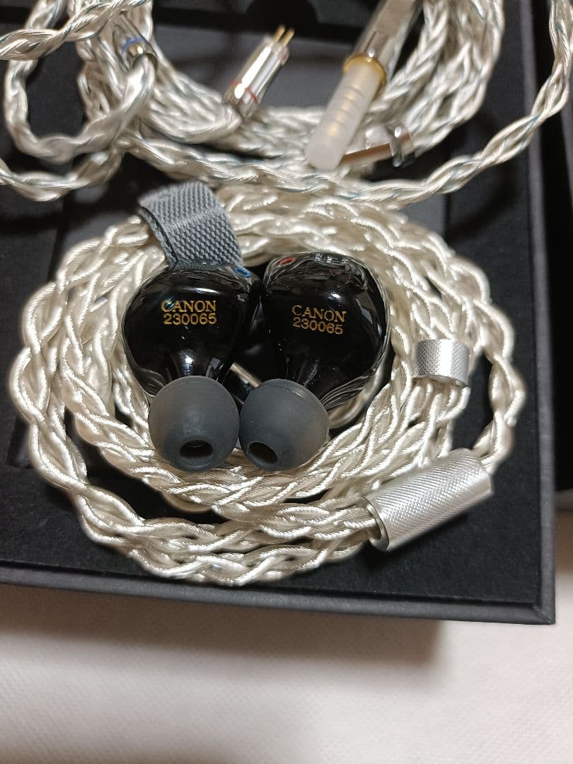 yanyin canon Ⅱ 4.4mm 極美品 リケーブル付き