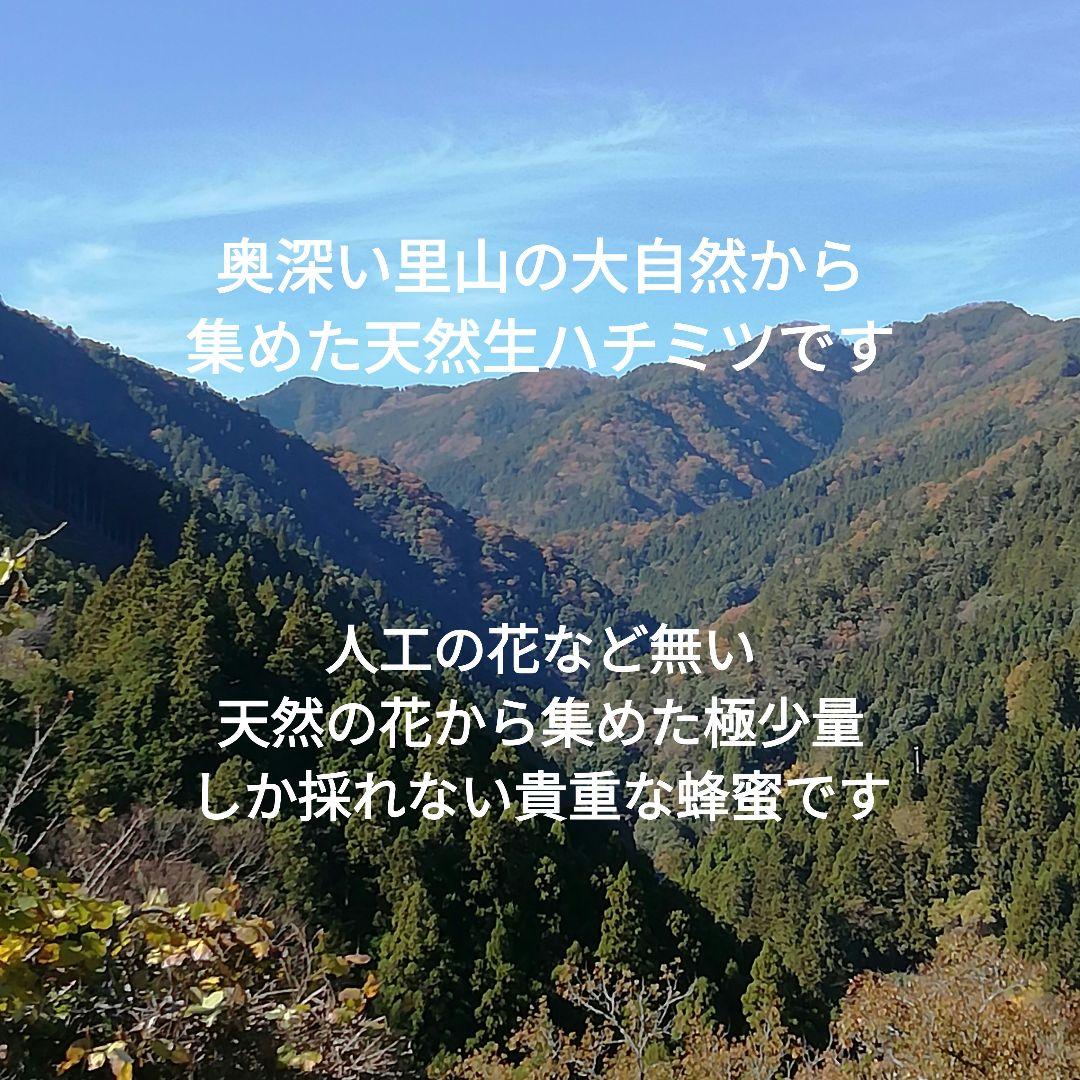日本蜜蜂　日本ミツバチ　自然界2種類生ハチミツ400g2本　蜂蜜　はちみつ2年物