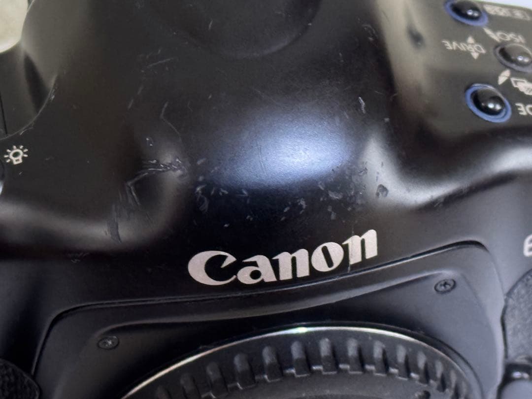 Canon EOS-1V Film キャノン フィルム 一眼レフカメラ