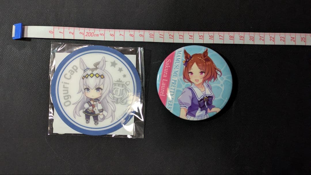 ウマ娘 シンデレラグレイ／スターブロッサム