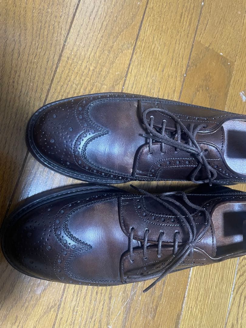 berwick ウィングチップ　5 1/2