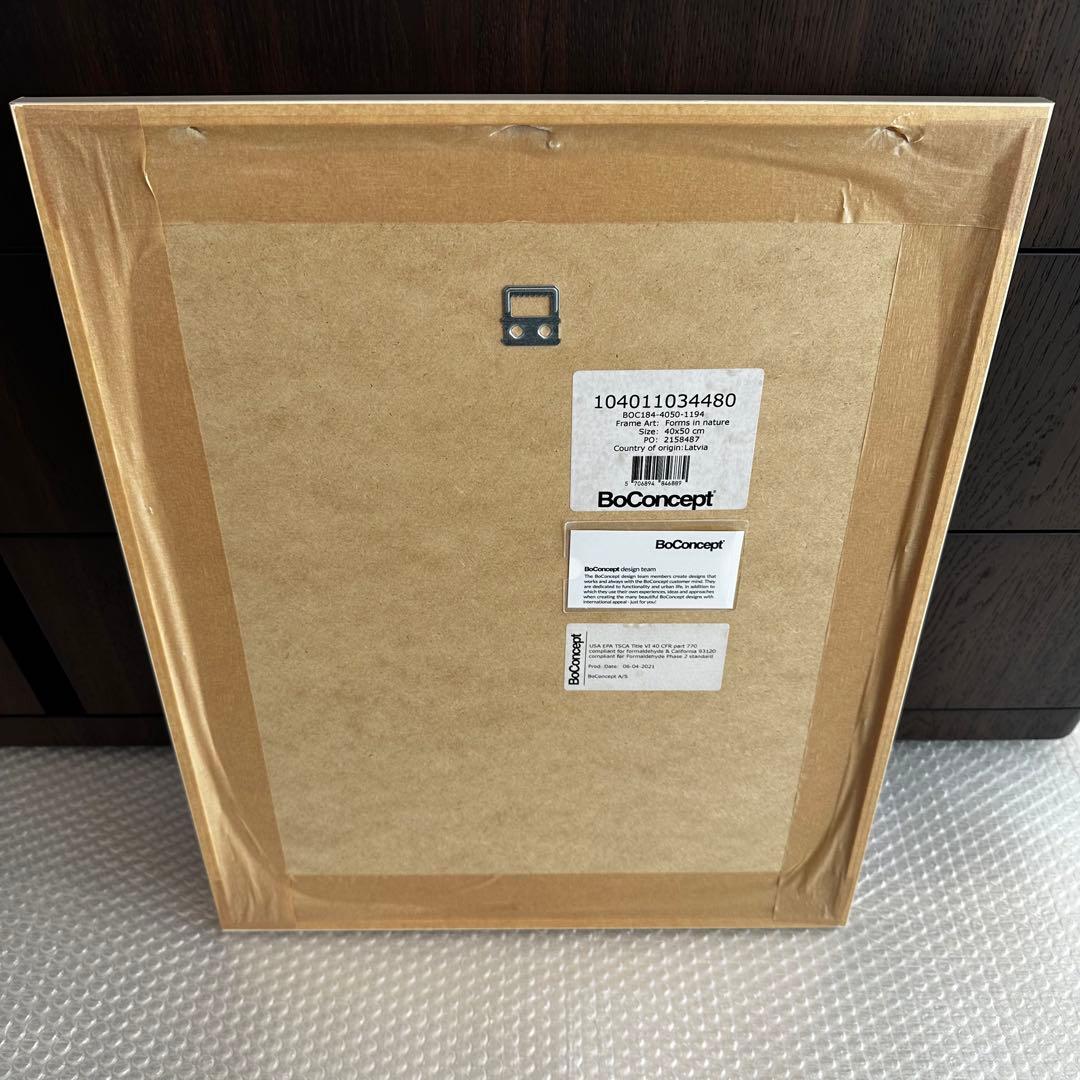 BoConcept ボーコンセプト アートパネル Form in nature
