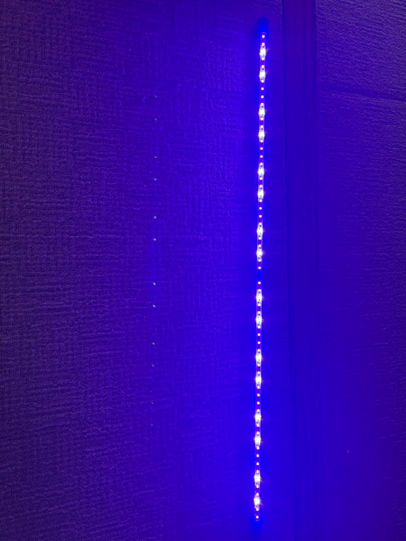 テンニングライト