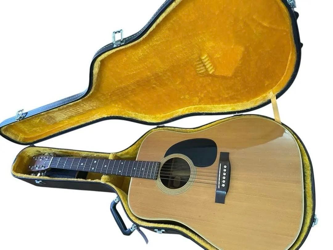 ② Aria Dreadnoughtアコースティックギター ハードケース付き