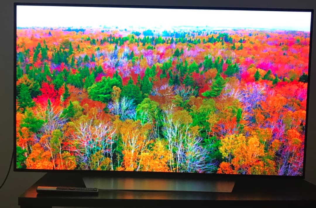 テレビ LG OLED 55v C7with Burn in pickup only