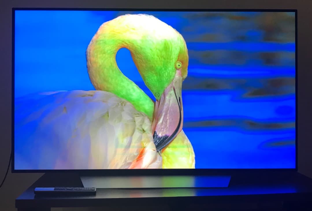 テレビ LG OLED 55v C7with Burn in pickup only