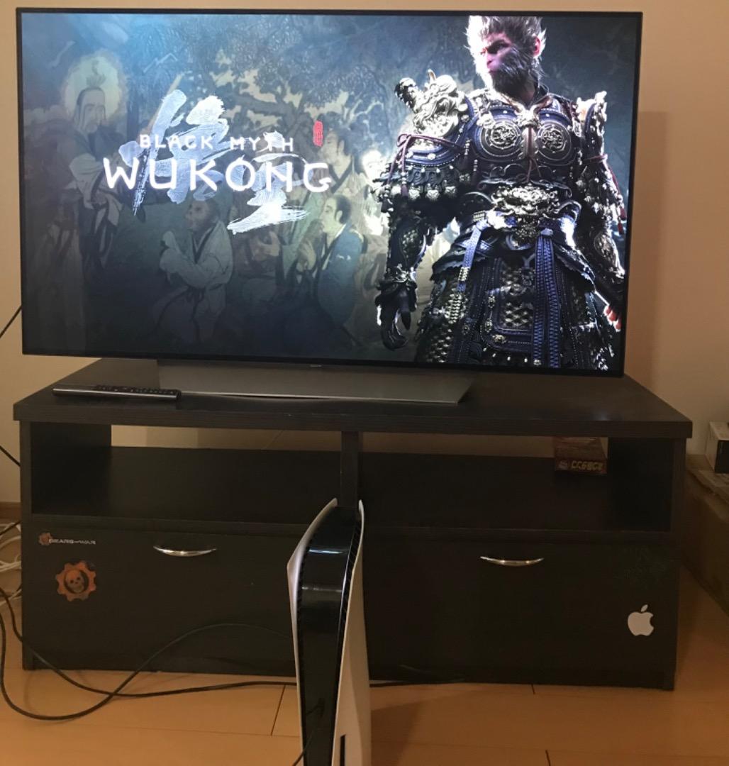 テレビ LG OLED 55v C7with Burn in pickup only