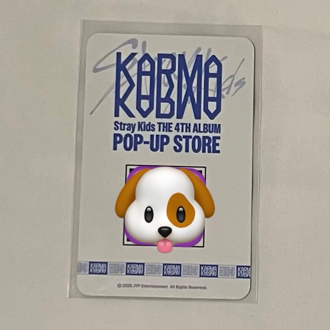 straykids KARMA ポップアップ トレカ イベント QR スンミン