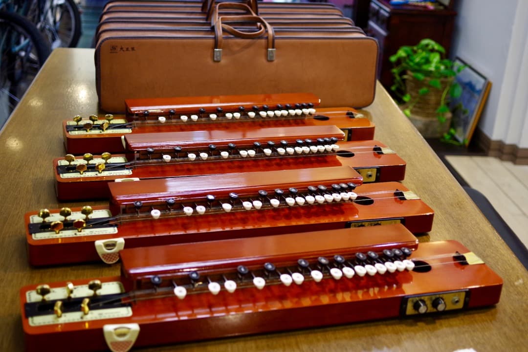 スズキ大正琴「砂丘」4本（ソフトケース付）