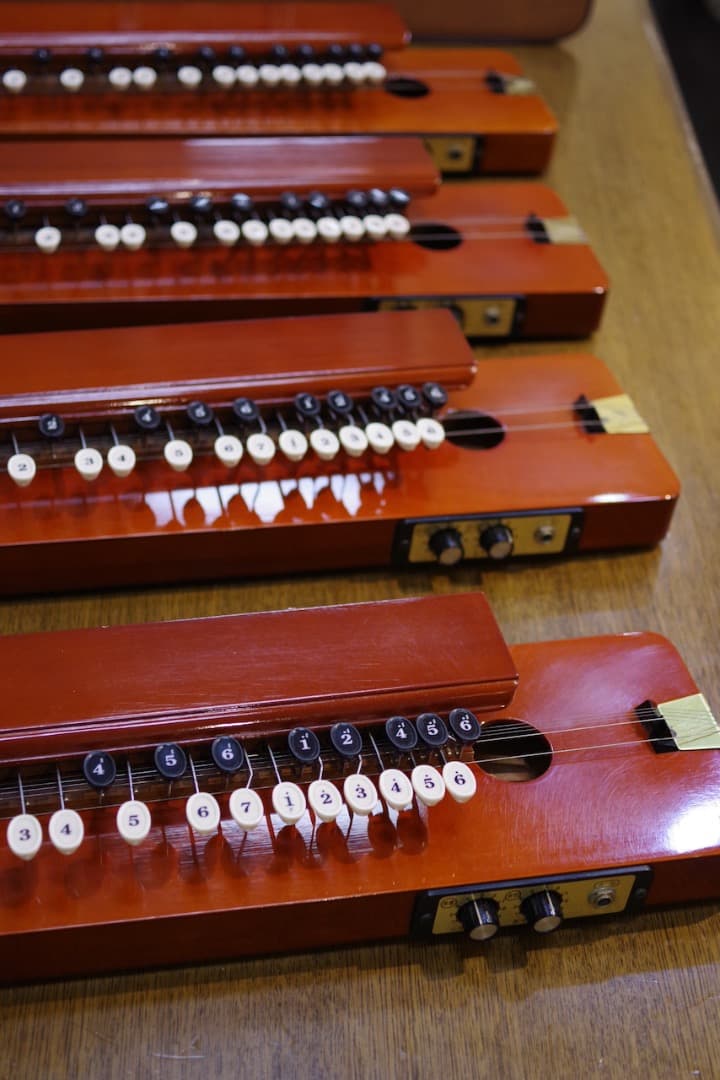 スズキ大正琴「砂丘」4本（ソフトケース付）