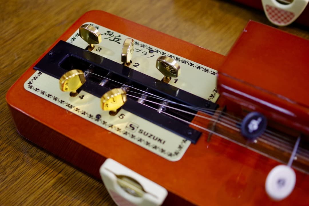 スズキ大正琴「砂丘」4本（ソフトケース付）