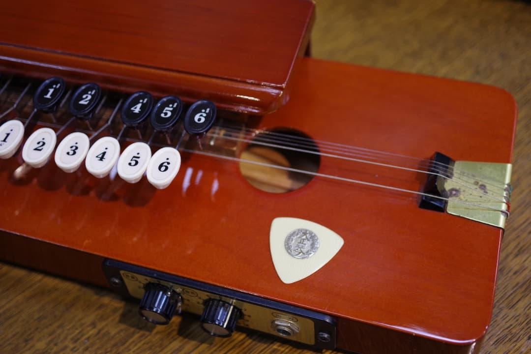 スズキ大正琴「砂丘」4本（ソフトケース付）