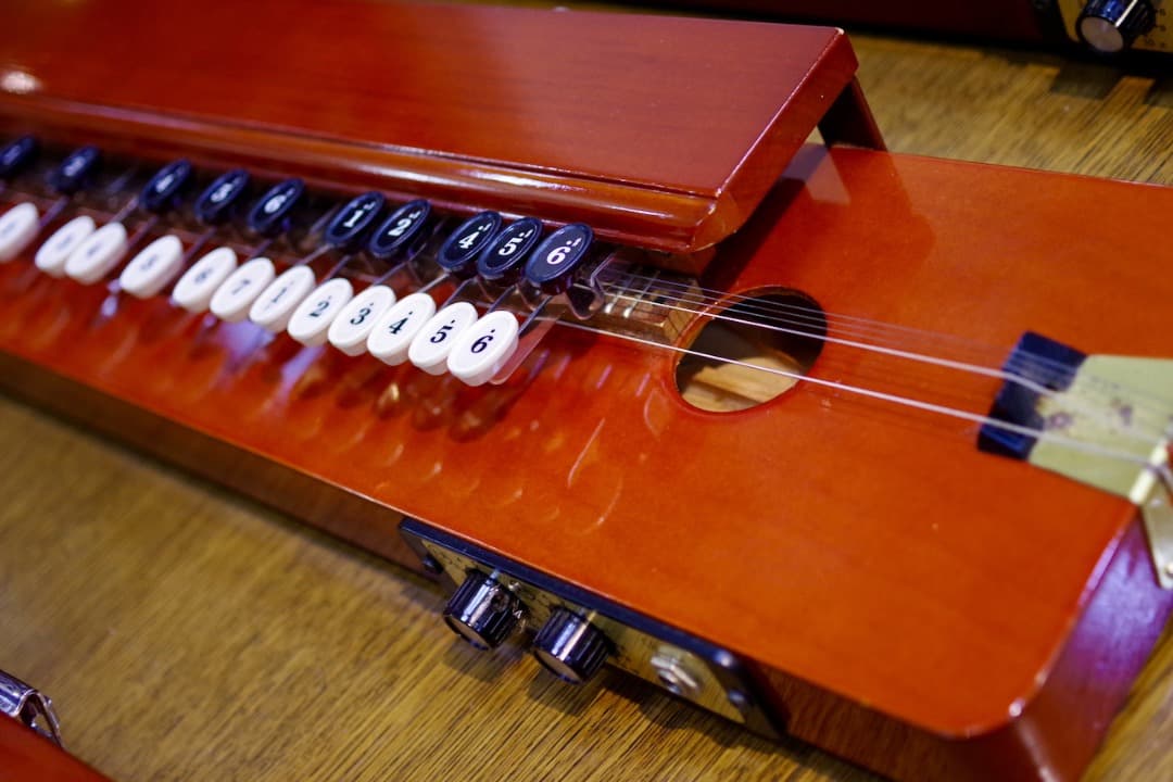 スズキ大正琴「砂丘」4本（ソフトケース付）