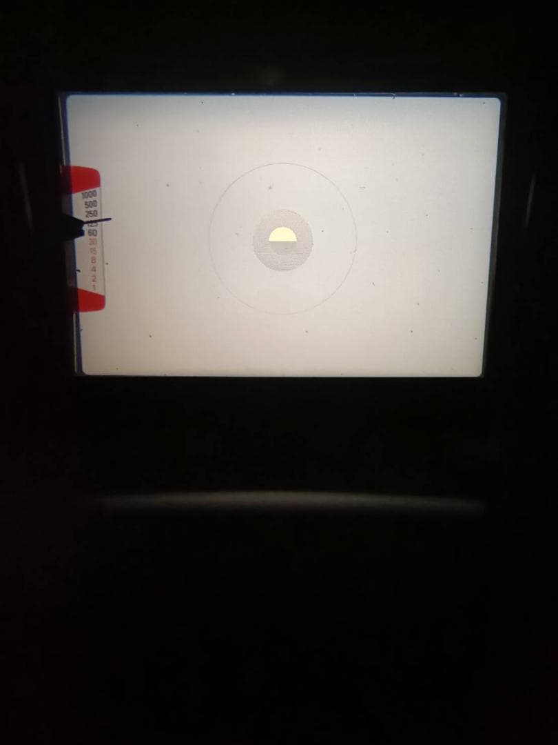 超美品 NIKON ニコン フィルムカメラ EM モルト新品交換済 H156