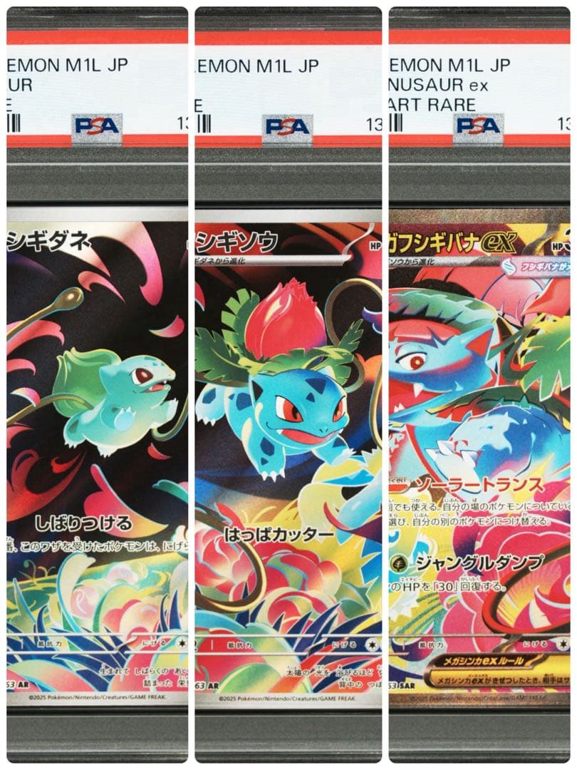 メガブレイブ フシギバナex SAR フシギソウ フシギダネPSA10 三連番