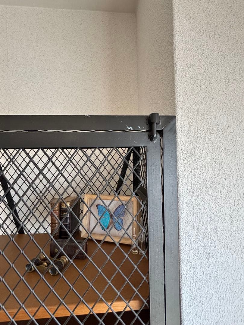 キャビネット・サイドボード CAGO LOCKER CABINET 570